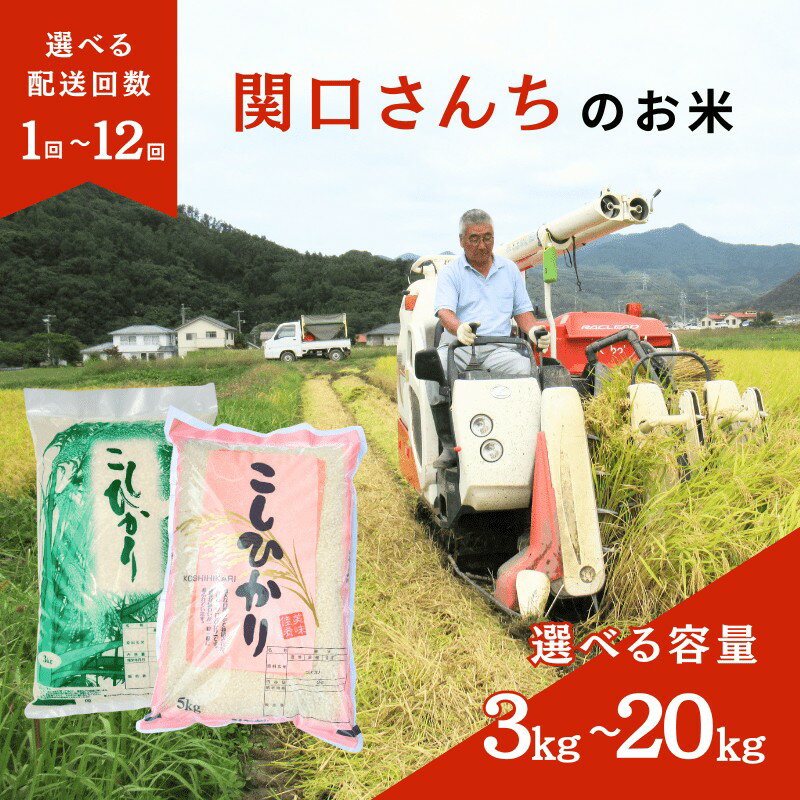 【ふるさと納税】米 令和7年産 新米 定期便 12ヶ月 6ヶ月 3ヶ月 関口さんちのお米 コシヒカリ こしひかり 3kg 5kg 10kg 20kg お米 こめ コメ 新米 精米 白米 ご飯 こしひかり 長野 信州 国産 12回 6回 お楽しみ