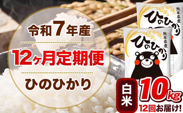 
                   令和7年産【12ヵ月定期便】 白米 ひのひかり 定期便 10kg 5kg×2袋《お申込み翌月から出荷》 熊本県産 精米 ひの 米 こめ ヒノヒカリ コメ お米 
                
