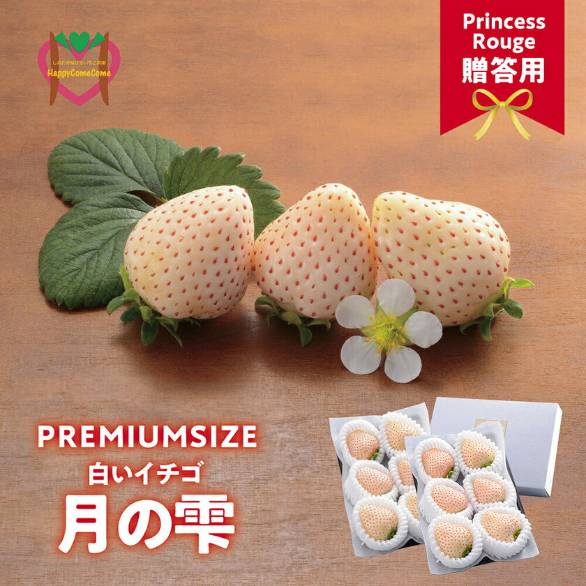 【ふるさと納税】【先行予約】しあわせ届けるいちご農園HappyComeComeの贈答用 白いちごー月のしずくーPREMIUM SIZE 《2026年12月中旬-3月下旬頃出荷》 苺 いちご ストロベリー