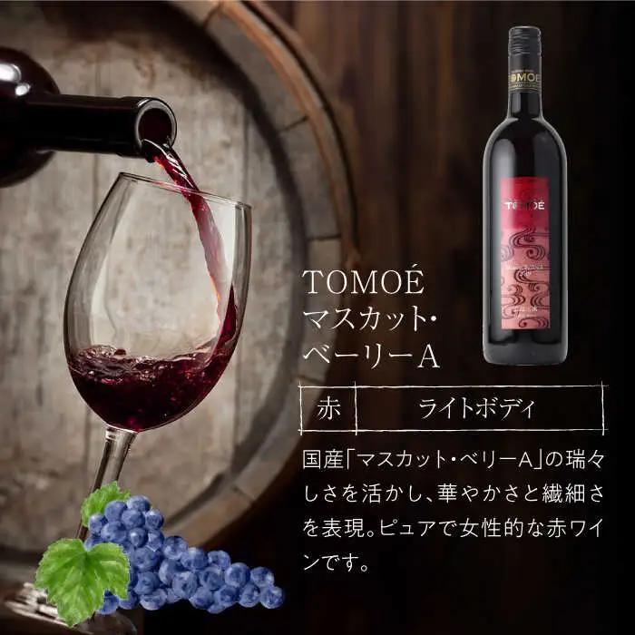 指定日お届け ワイン 牛肩ロース・赤ワイン セット [APAZ038] 牛肉