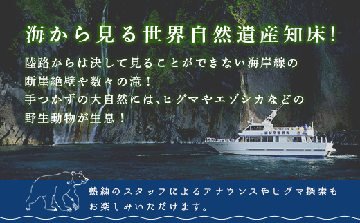 ゴジラ岩観光【ウトロ港発着クルーズ乗船代金3000円割引券】 SHAD001