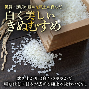 令和7年産 きぬむすめ 白米 5kg 新米