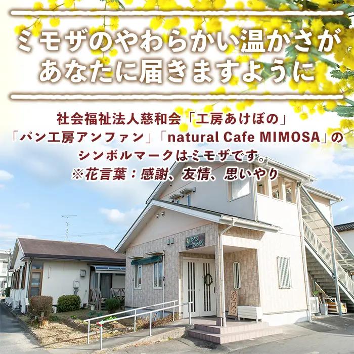 【ふるなびWEEK対象】isa170 プレーンベーグル(16個) 天然酵母 ふるさと納税 伊佐市 特産品 パン 国産 白神こだま酵母 ヒマラヤ岩塩 焼きたて 急速冷凍 ベーグル 牛乳・卵・バター不使用