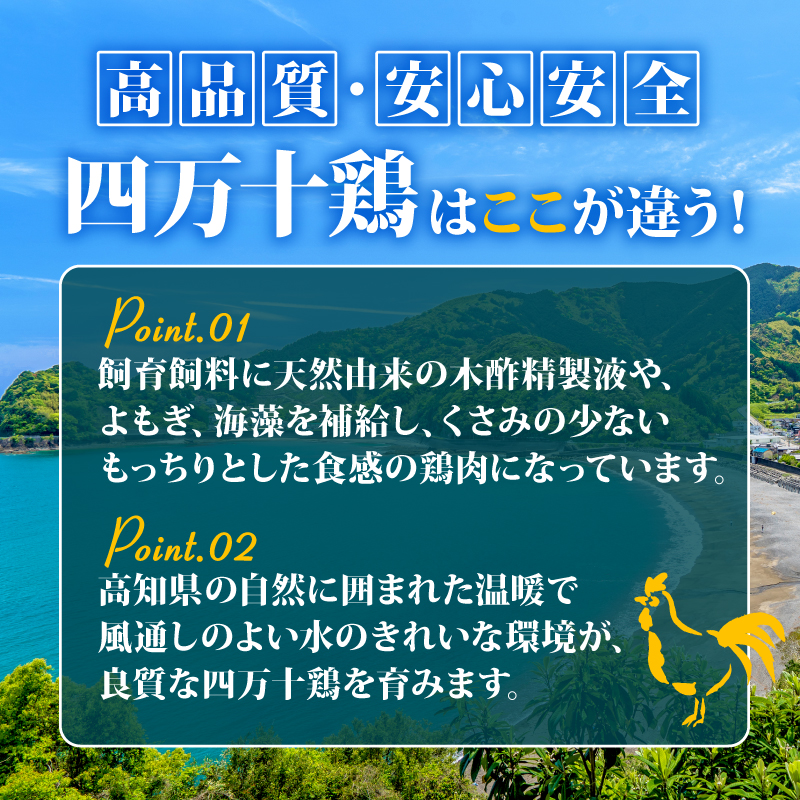 もも肉 鶏 2kg ブランド 四万十鶏 須崎 高知 唐揚げ 煮物 鍋 【便利】