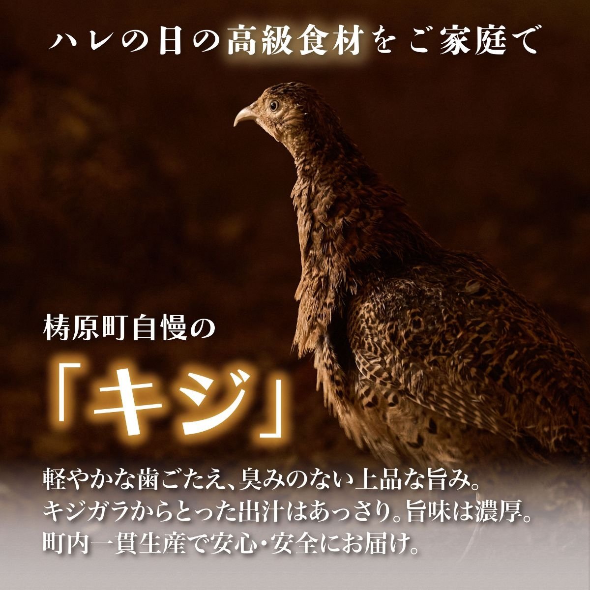 キジ鍋セット（株式会社四万川雉生産部）