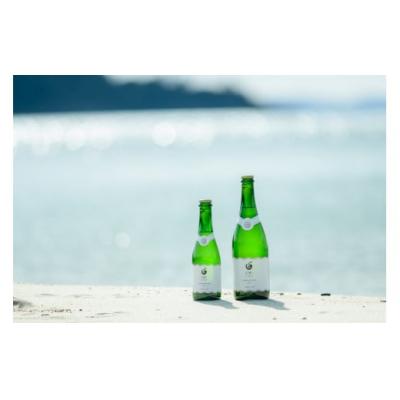 ふるさと納税 山口市 【山口産りんご】UMIシードル-ドライ-(375ml×1本)やまぐちシードル E075