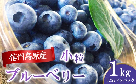 信州産 フレッシュブルーベリー(小粒) 1kg 3104