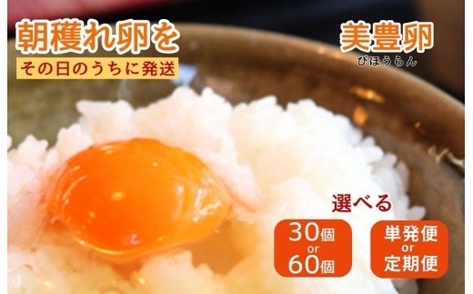 
                  たまご 卵 タマゴ 30個 or 60個　選べる 定期便 or 単発便 美豊卵 熊福 こだわり ふっくら 濃厚 朝穫れ ふるさと納税 送料無料 【四国中央市 日本一 紙のまち】
                