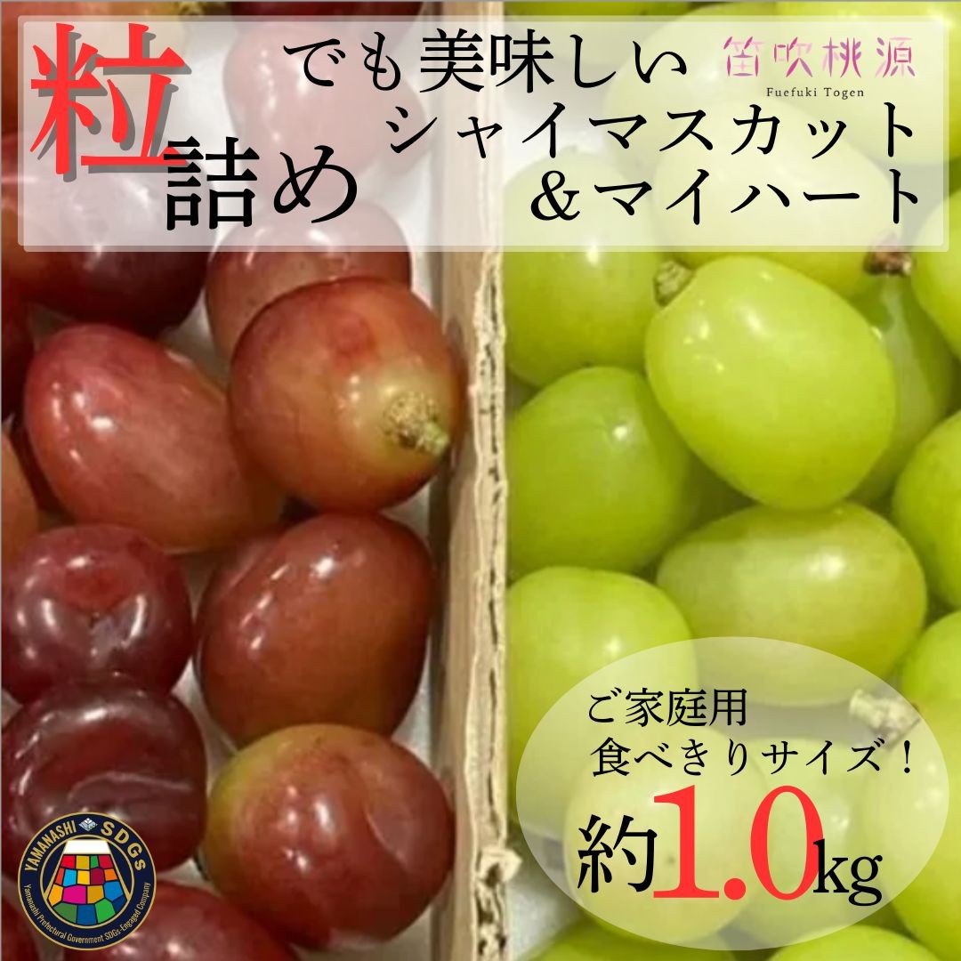 
                  【2026年先行予約】SDGsおいしさそのまま　粒　シャインマスカット＆マイハート　1kg相当　〈令和8年発送　数量限定　粒　シャインマスカット　シャイン　マイハート　赤系ぶどう　ぶどう　葡萄　希少種　くだもの　フルーツ　ご家庭用　新鮮　果物　くだもの　産地直送　直送　笛吹　山梨〉 
157-053-26y
                
