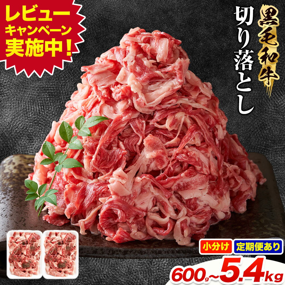 【ふるさと納税】＼レビューキャンペーン／黒毛和牛 牛肉 切り落とし 選べる内容量 600g〜5.4kg 定期便も！ 茨城県 結城市 東和食品《30日以内に出荷予定(土日祝除く) 》お肉 肉 牛肉 和牛 牛肉切り落とし 薄切り ロース 国産 国産牛 すき焼き 牛丼 焼肉【配送不可地域あり】