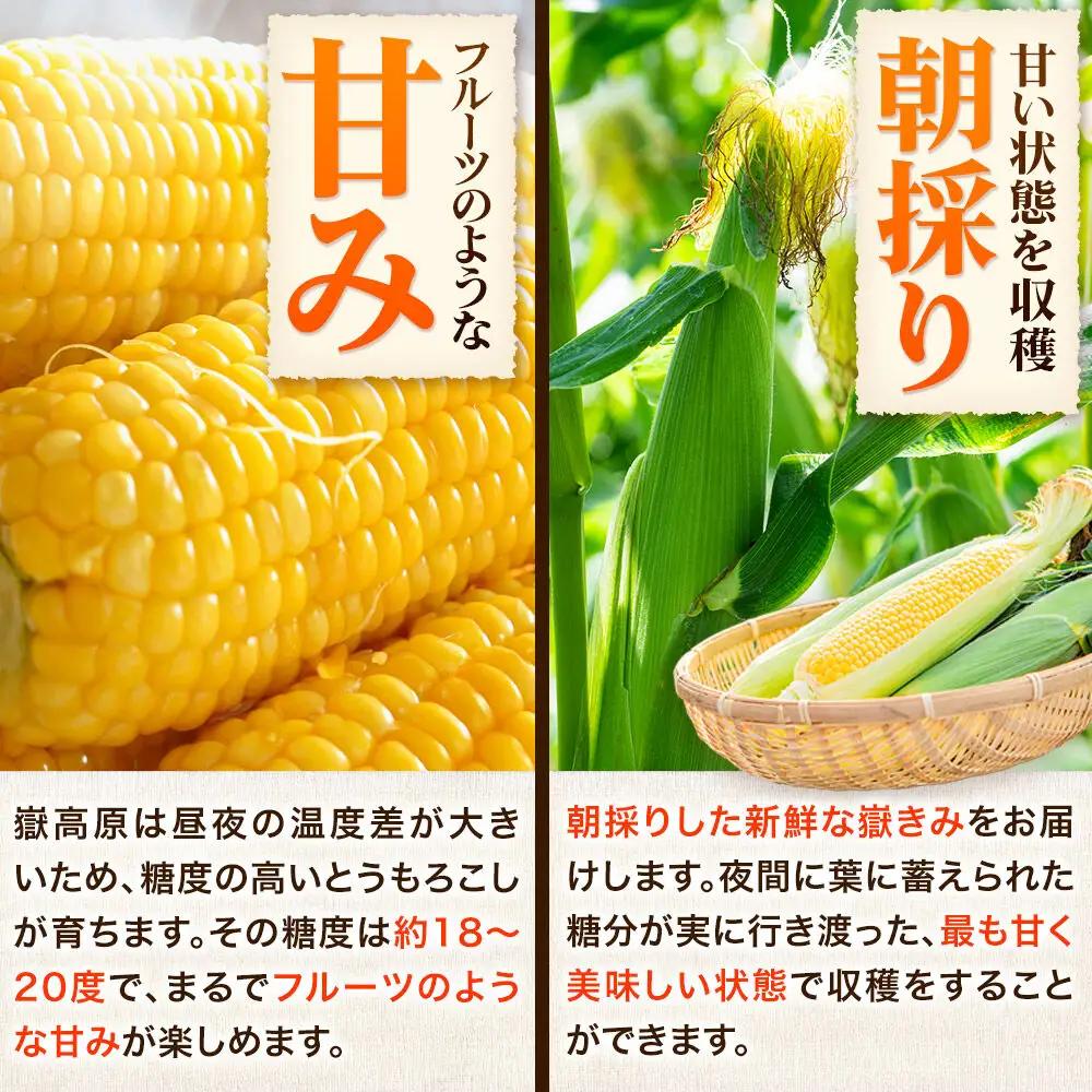 【26年7月～発送】とうもろこし 朝採り 嶽きみ（だけきみ） 10本 L～2Lサイズ 冷蔵 青森県 弘前市