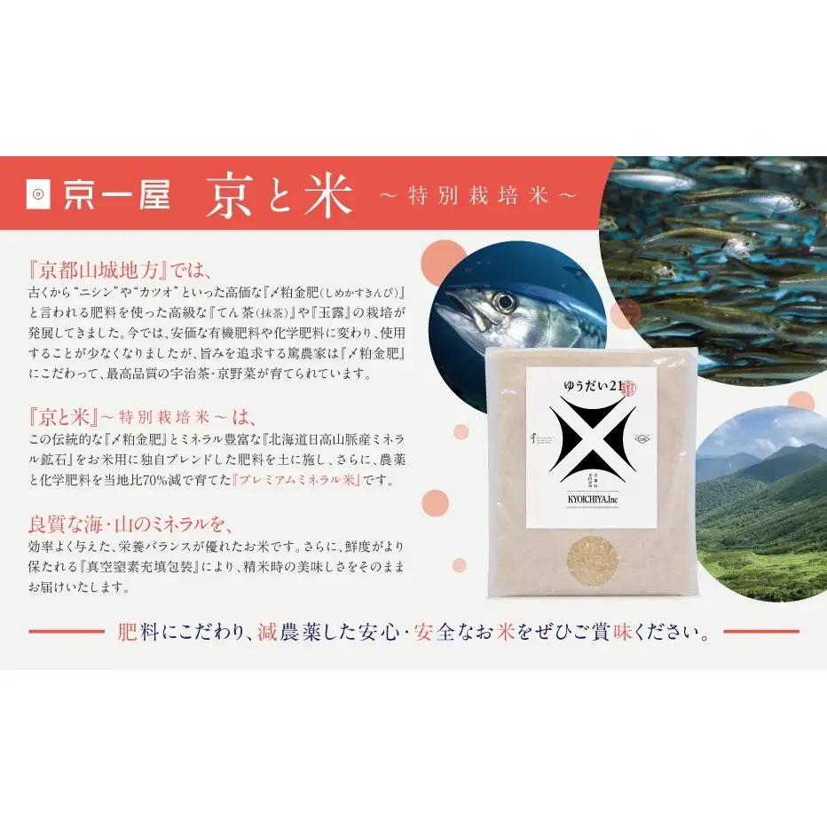 お米 京と米 ゆうだい21 8kg お米