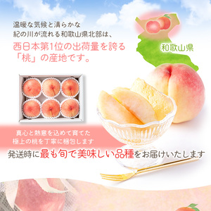 もも モモ 桃 ギフト 贈り物 プレゼント 夏ギフト 果物 フルーツ 人気 産地直送 和歌山県 お取り寄せ / 【先行予約受付】和歌山県産の美味しい桃 約2kg （6～9玉入り）【2024年6月中旬頃