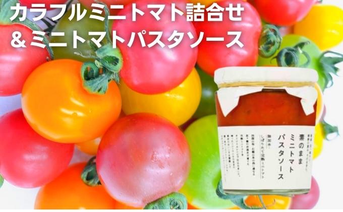 「栗林農園」素のままパスタソースとカラフルミニトマト