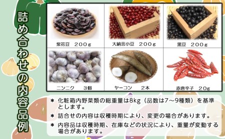 2024年秋発送 旬の秋野菜 詰め合わせ 約8kg《 土居ファーム 》 野菜 やさい かぼちゃ 芋 たまねぎ ニンニク ヤーコン 豆 千歳 北海道