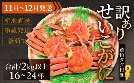 【先行予約】【訳あり】 せいこがに 合計2kg以上（16～24杯）【11月～12月発送】 日本海 直送