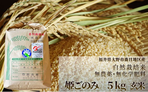 【令和7年産】ベストファーマー 自然栽培農家「四郎兵衛」の お米 姫ごのみ 5kg 玄米 無農薬 無肥料 無除草剤 による 自然栽培米[B-030008]