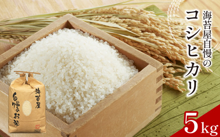お米 コシヒカリ 5kg 令和7年産 米 こめ 海苔屋の米 米 米