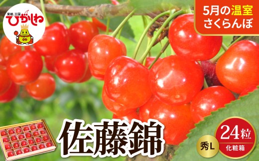 【2027年産 先行予約】 採れたて！5月の温室さくらんぼ「佐藤錦」 秀L 24粒化粧箱 山形県 東根市 晴天畑提供 hi026-068-r9 サクランボ フルーツ 果物 くだもの 加温 佐藤錦 期間限定 先行受付 24粒 化粧箱入り 冷蔵配送 グルメ ご当地 特産直送