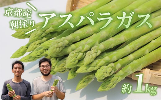
            ＜先行受付＞2026年産 数量限定 アスパラガス 1kg L～2Lサイズ 京都府久御山町産 朝採り【1701542】
          