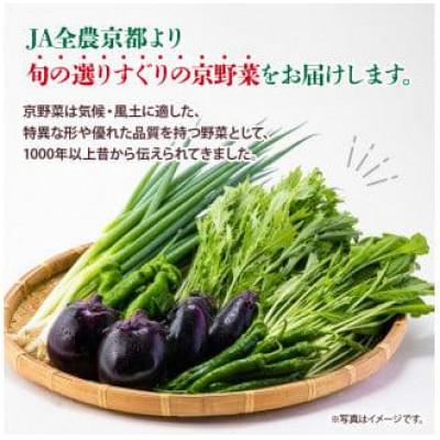 ふるさと納税 京都府 【毎月定期便】選りすぐり京野菜 旬のおすすめ6種程　全12回 新鮮な野菜定期便を12か月間お届け |  | 01