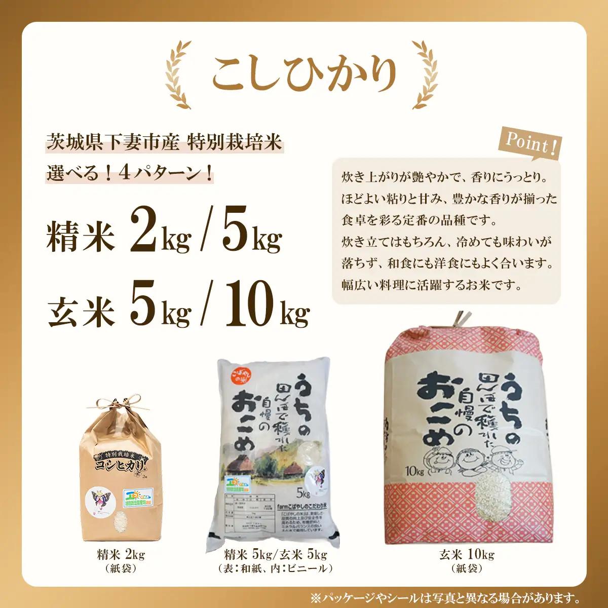 こしひかり 新米 玄米 10kg 11月出荷 こしひかり