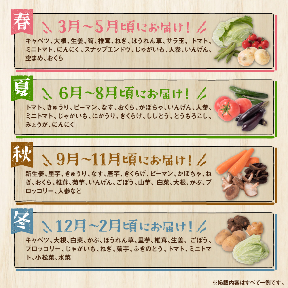 【毎月お届け】【定期便3回】八代市産！旬の農産物詰合せ 復興 福袋 7品以上_イメージ4