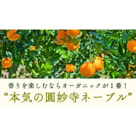 【 先行予約 】 瀬戸内 オーガニック 圓妙寺 ネーブル 9kg ( 25～35個程度 )+お試しオーガニックレモン1個 【2027年1月中旬以降発送】 