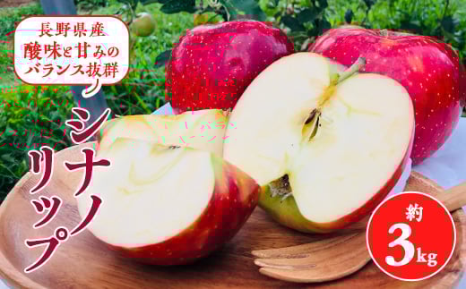 2025年夏!りんご新品種＜シナノリップ＞約3kg　酸味と甘みのバランス抜群_ りんご 林檎 果物 くだもの フルーツ 新品種 シナノリップ 人気 おすすめ 送料無料 長野 信州 冷蔵 夏 【1041415】