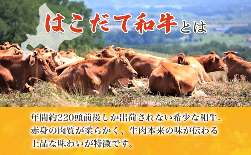 北海道 みそぎの郷 ハンバーグ 6個 ソース 付き 北海道産 和牛 はこだて和牛 あか牛 牛肉 豚肉 ビーフ ポーク 合挽 肉汁 ジューシー 本格 希少 国産 洋食 時短 簡単 人気 おかず 惣菜 個