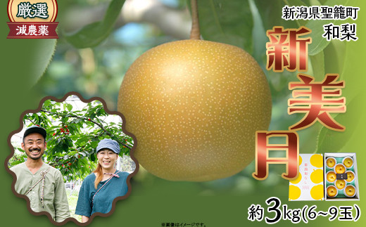 
                  新潟和梨【新美月】約3kg（6～9玉）
                
