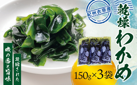 紀州衣奈産乾燥わかめ 150g×3パック（2025年産）【SL6】【sml102E】