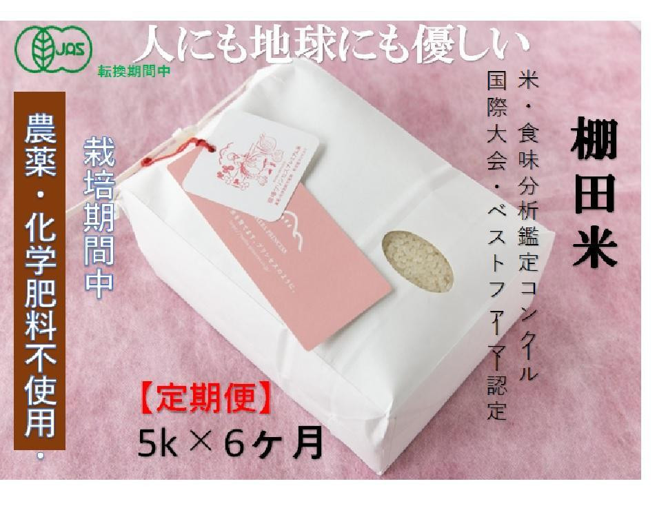 
            【2025年産新米】【6ヶ月定期便】【農薬化学肥料5割減】魚沼コシヒカリ 苗場プリンセス 特別栽培米 精米 5kg（5kg×1袋）計30kg
          
