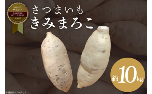 【2025年11月より順次発送】2025年度産 さつまいも きみまろこ 約10kg｜さつまいも 芋 お芋 きみまろこ 渋谷農園 先行予約 茨城県 行方市(BZ-45)