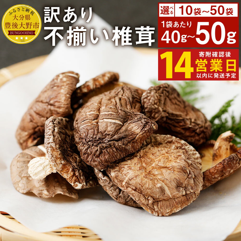 【ふるさと納税】【14営業日以内発送】 訳あり 原木椎茸 不揃い椎茸 ＜選べる＞ 10袋 50袋 セット 1袋40g 50g 12000円 1万2000円 椎茸 乾燥シイタケ 乾椎茸 しいたけ おすそ分け 小分け 大分県産 九州産 送料無料