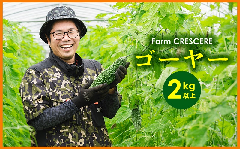 【Farm CRESCERE】ゴーヤー2kg以上 沖縄 大宜味村 ゴーヤー ごーやー チャンプルー 野菜 ふるさと納税 送料無料 沖縄料理 おかず サラダ アレンジ料理 ご当地 郷土料理 ちゃんぷるー 常温 プレゼント 食べ物 2kg