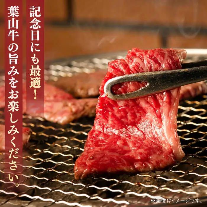葉山牛 500g　ロース焼肉用／ 焼肉 焼き肉[ASBD004]