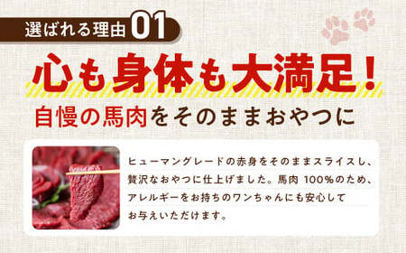 馬肉ヘルシージャーキー 3袋 40g×3袋 120g ペット用 ジャーキー 馬肉 おやつ ヘルシー 無添加 保存料等不使用 ペット 愛犬 犬用