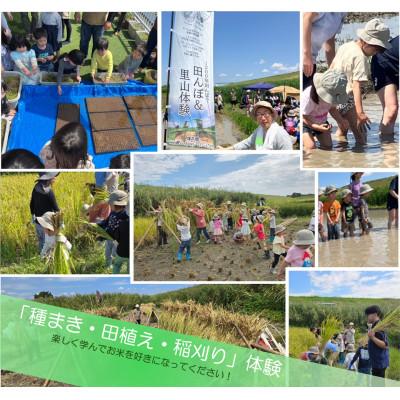 ふるさと納税 川口市 令和7年産 埼玉県産 彩のきずな 精米 (5kg×1袋)埼玉のお米 |  | 02