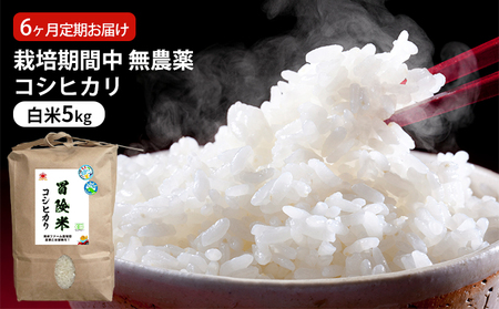 コシヒカリ 定期便 6ヶ月 栽培期間中 無農薬 5kg コシヒカリ