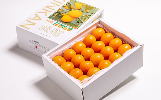 【先行予約】糖度16度以上！『完熟きんかんたまたま』1kg　宮崎県西都市産＜1-136＞