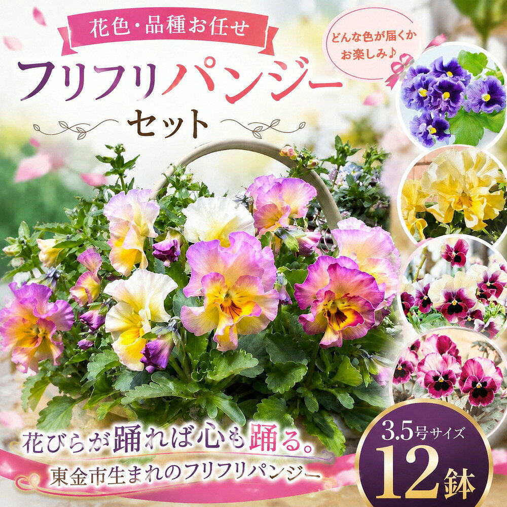 【ふるさと納税】 フリフリパンジー 花色 品種 お任せ 3.5号 ✕ 12鉢 花 パンジー フリル ガーデニング 園芸 家庭園芸 ベランダ 庭 花壇 寄植え プランター栽培 ピンク 赤 むらさき 白 黄色 カラー 鉢植え 玄関 花苗 お花 ギフト 贈答 プレゼント シーズン 山岸 千葉 東金