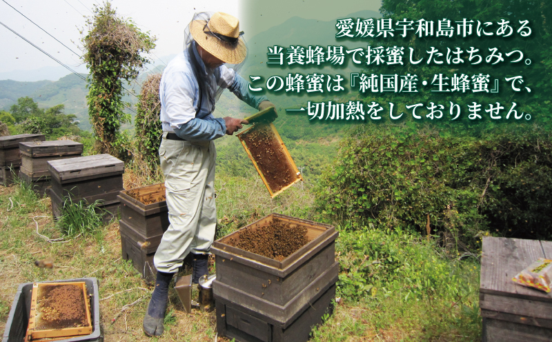 百花蜜 500g ギフト箱入 元気や はちみつ 国産はちみつ 百花蜂蜜 純粋はちみつ 生はちみつ  蜂蜜 ギフト プレゼント  数量限定 産地直送 国産 愛媛 宇和島 F012-176004