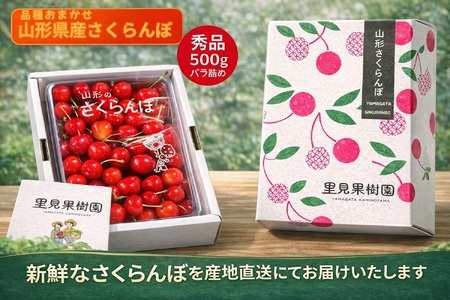 さくらんぼ（品種おまかせ）５００ｇ以上　秀品以上　0079-2607