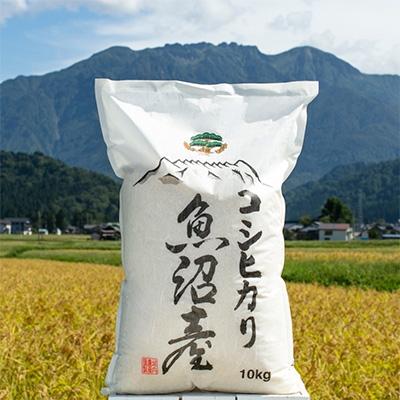 ふるさと納税 南魚沼市 【令和7年産】　南魚沼産コシヒカリ無洗米10kg 【栽培期間農薬を減らして作ったお米】
