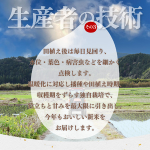 【ふるさと納税】新米 先行予約＜ヒノヒカリ または にこまる 約5kg＞ 山間地米 旬 高知県 佐川町産 秋発送【常温】＜2026年10月中旬以降～12月末頃に発送＞