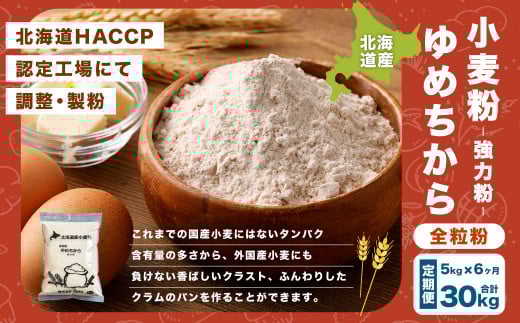 【6ヶ月定期便】ゆめちから全粒粉【強力粉】 5kg（1kg×5袋） 計30kg 国産 小麦粉 強力粉 強力小麦粉