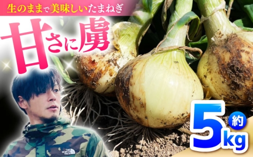 【2027年3月～発送】たまねぎ 5kg / タマネギ 玉葱 玉ねぎ 野菜 やさい カレー シチュー バーベキュー スープ サラダ たまねぎ 玉葱 料理 野菜 タマネギ 玉ねぎ 新鮮 国産 産地直送 オニオン onion 送料無料 / 南島原市 / 城谷農園 [SGV001]
