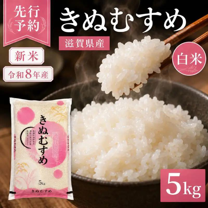 【令和8年産】 米 近江米 白米 5kg 先行予約 新米 きぬむすめ 精米 こめ コメ お米 ご飯 キヌムスメ 5キロ 度産 令和八年産 滋賀県 豊郷町