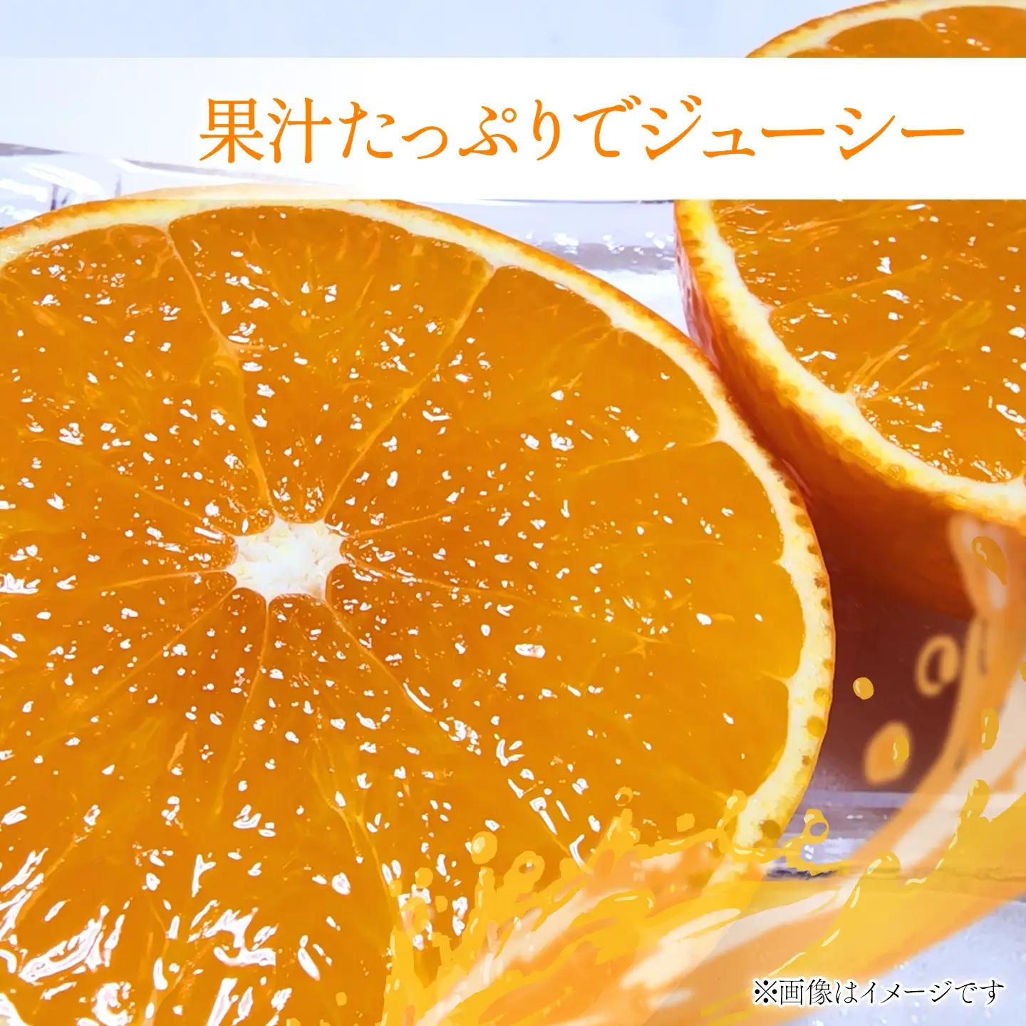 紅まどんな（秀品3kg 化粧箱）【11月下旬～12月発送】柑橘 愛媛 まどんな